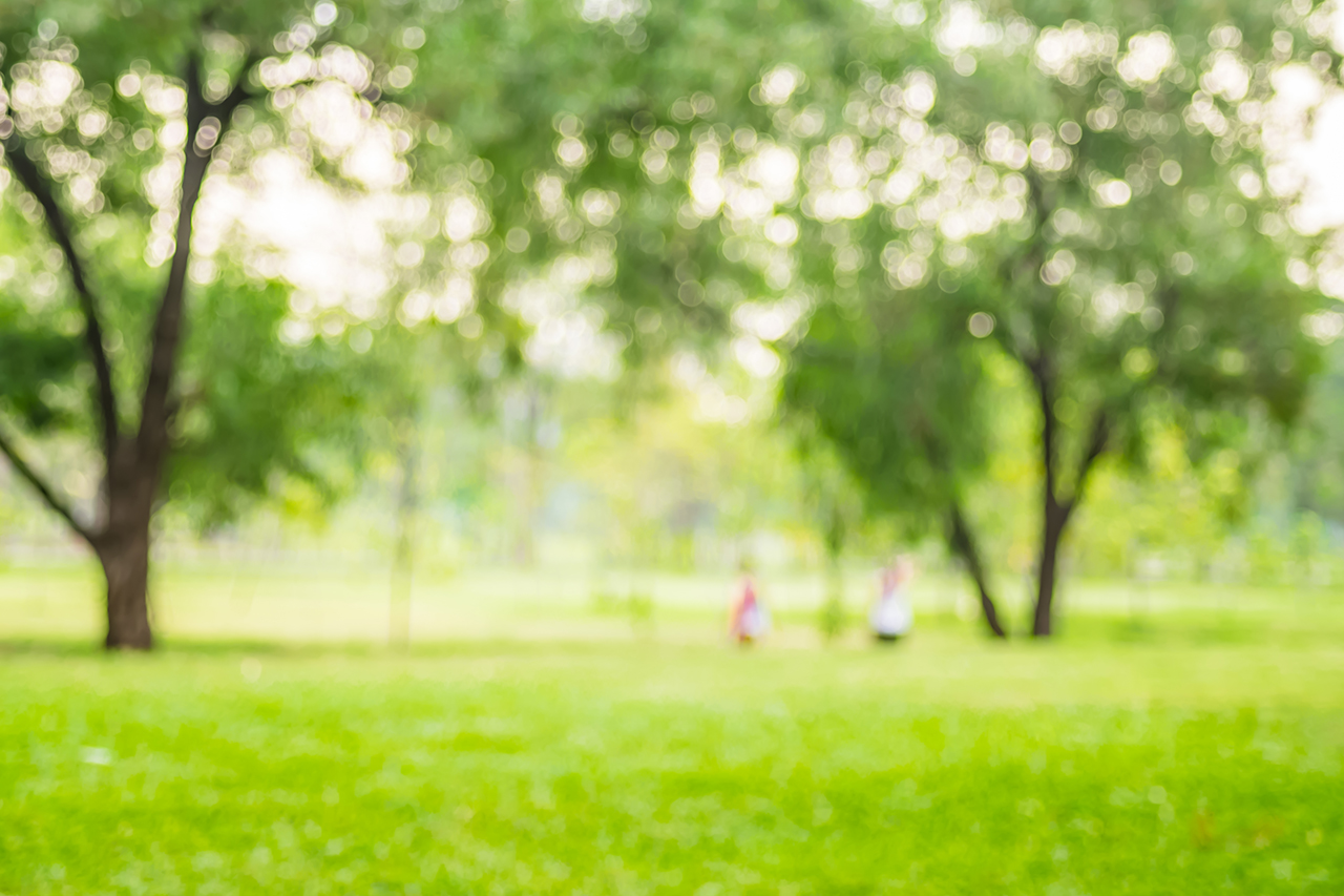green park for bike riding
